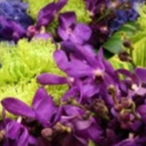 Meet your Posher, Send info